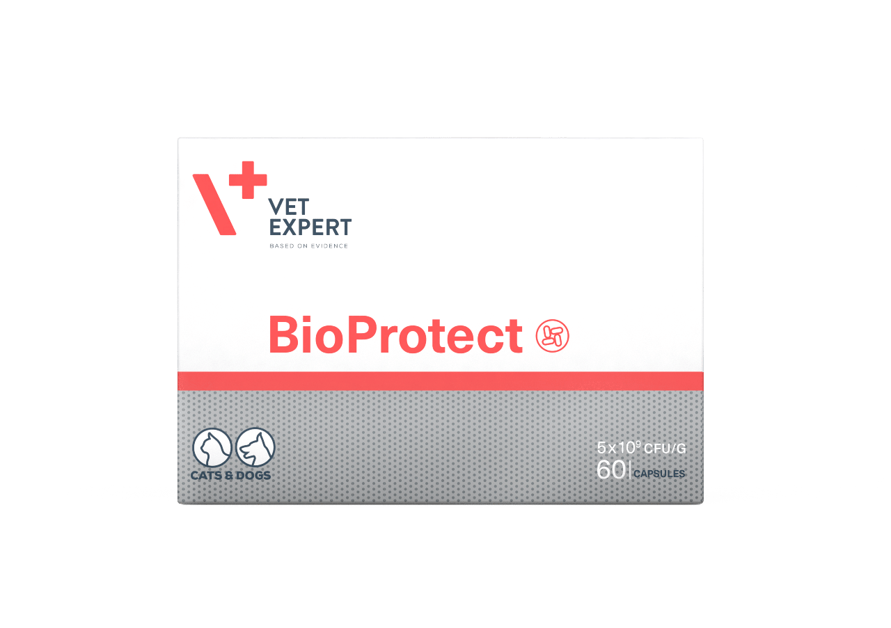 Vet Expert BioProtect БіоПротект для котів і собак із порушеною шлунково-кишковою мікрофлорою 60 капсул