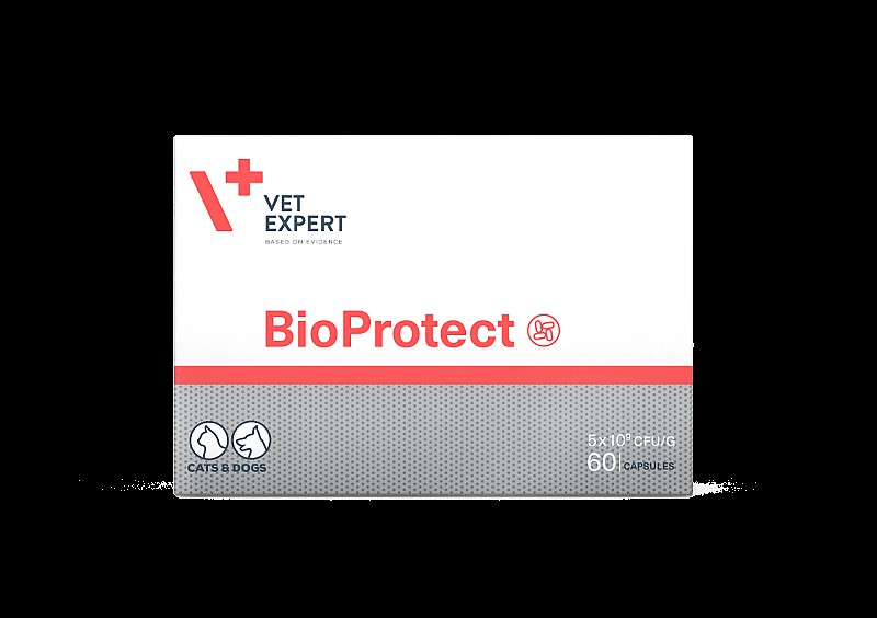 Vet Expert BioProtect БіоПротект для котів і собак із порушеною шлунково-кишковою мікрофлорою 60 капсул