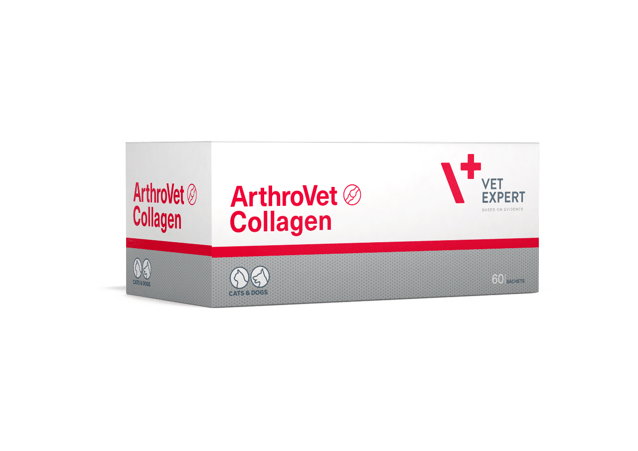 Додатковий корм для собак і кішок ArthroVet Collagen АртроВет Колаген - підтримка захист суглобів 60 саше