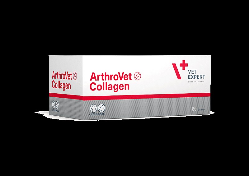 Додатковий корм для собак і кішок ArthroVet Collagen АртроВет Колаген - підтримка захист суглобів 60 саше